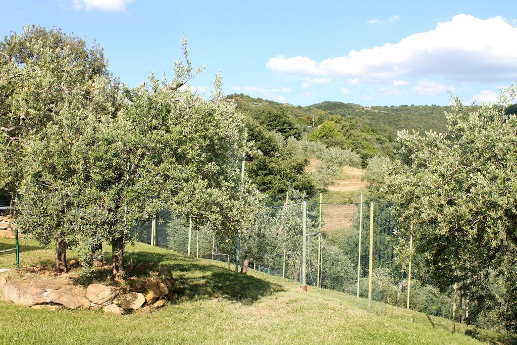 Agriturismo Malagronda Ravigliano Екстериор снимка
