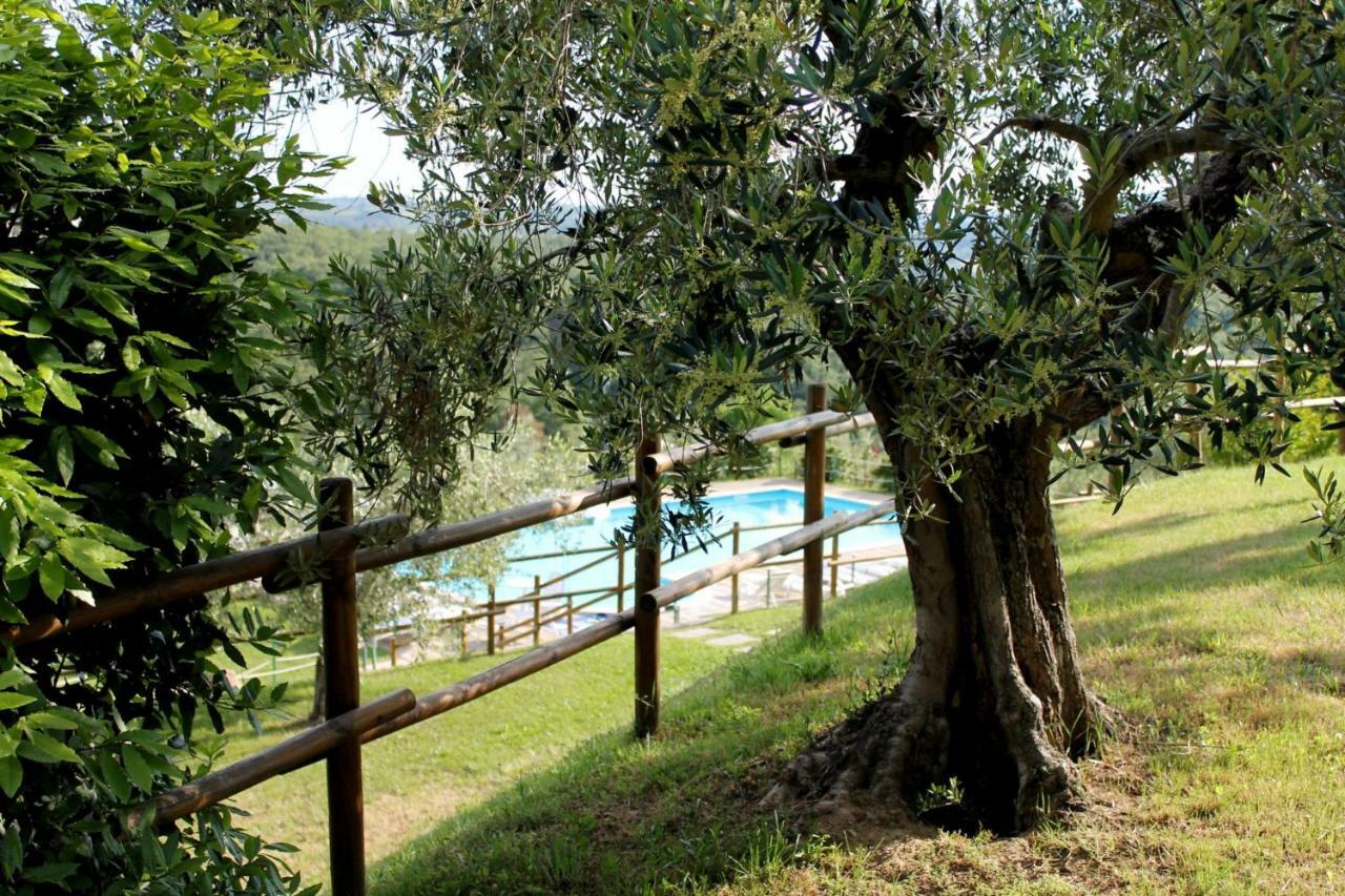 Agriturismo Malagronda Ravigliano Екстериор снимка